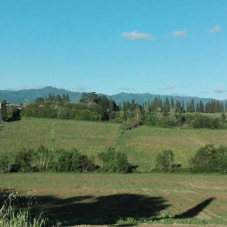 La Dimora Di Angela Διαμέρισμα Barberino di Mugello Εξωτερικό φωτογραφία