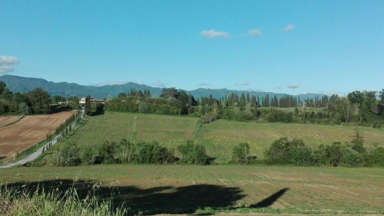 La Dimora Di Angela Διαμέρισμα Barberino di Mugello Εξωτερικό φωτογραφία